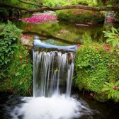 image06
